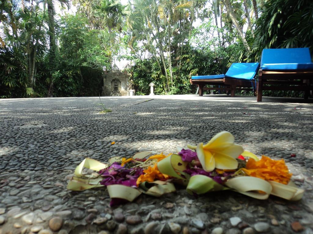 Villa Bhuana Alit Ubud Exterior foto