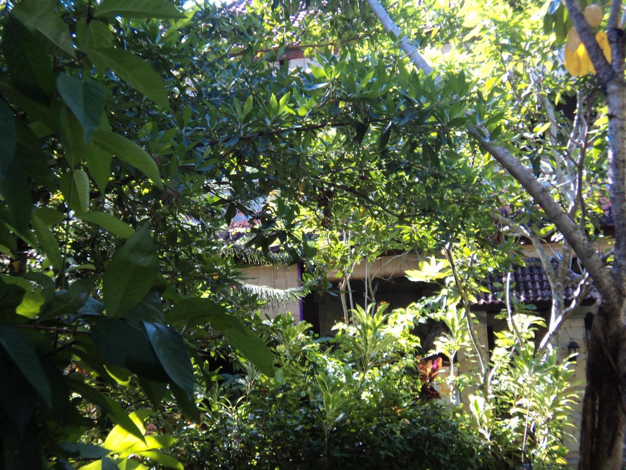 Villa Bhuana Alit Ubud Exterior foto