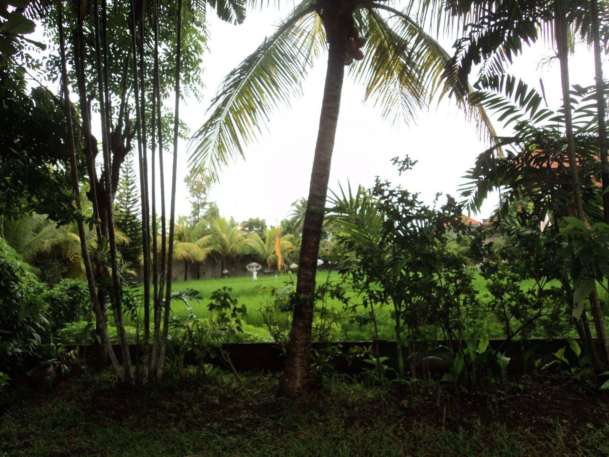 Villa Bhuana Alit Ubud Habitación foto