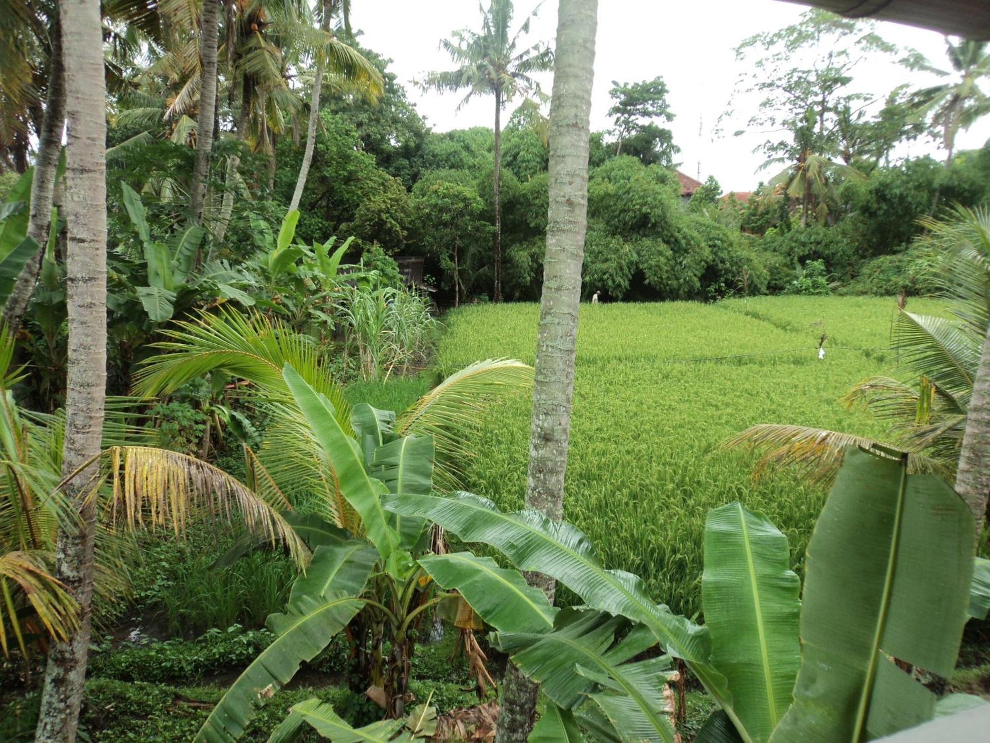 Villa Bhuana Alit Ubud Habitación foto