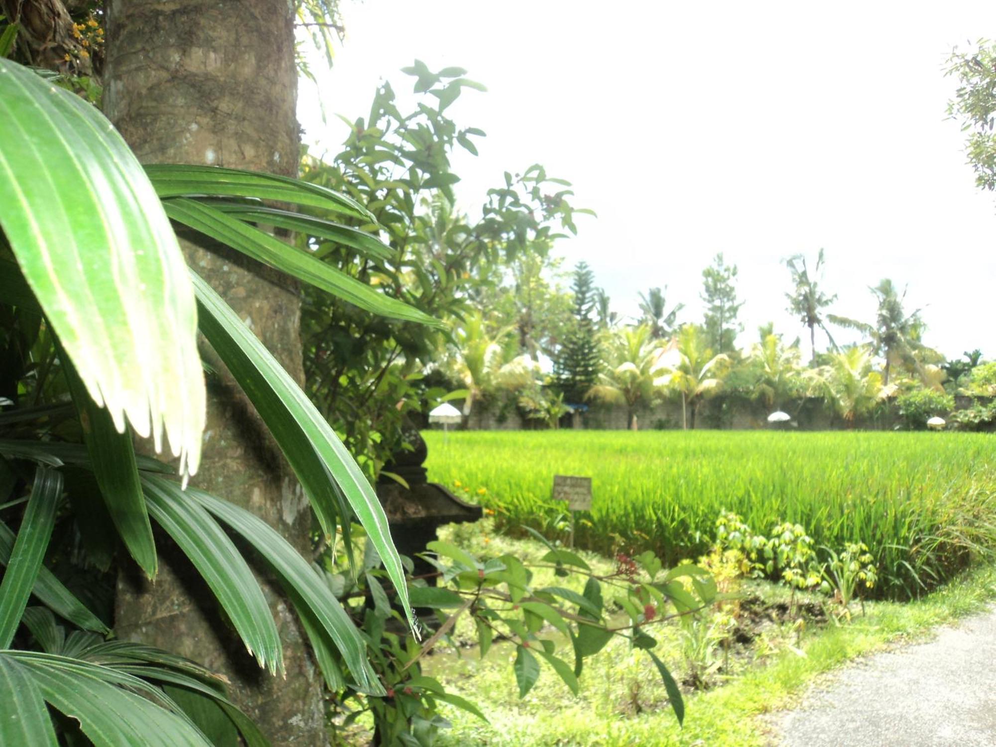 Villa Bhuana Alit Ubud Habitación foto